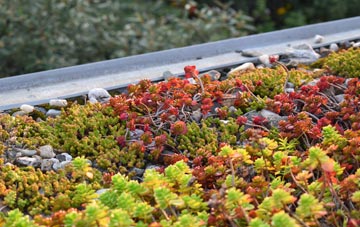 the cost of Alciston green roof installation