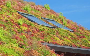Alciston living roof systems